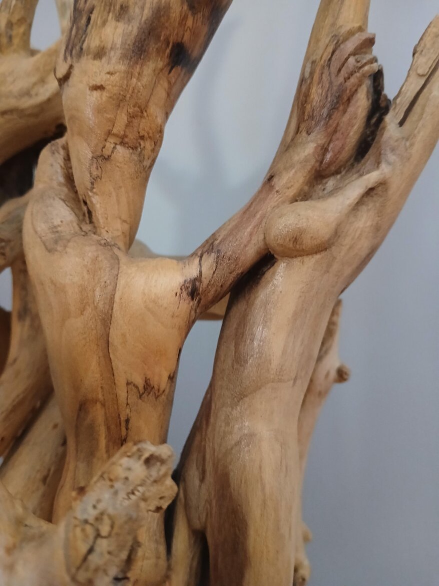 15ff79f9-d9d2-46a5-ac82-eb04846184f6