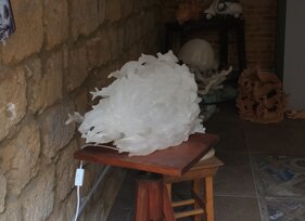 e2af07ee-9f1e-40df-a28c-939f3c18e325