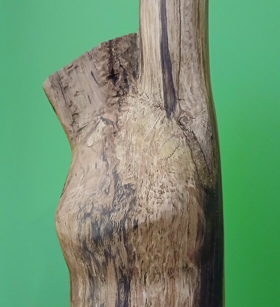 e05edf15-9787-4f13-9dc6-c13afc0e47c8