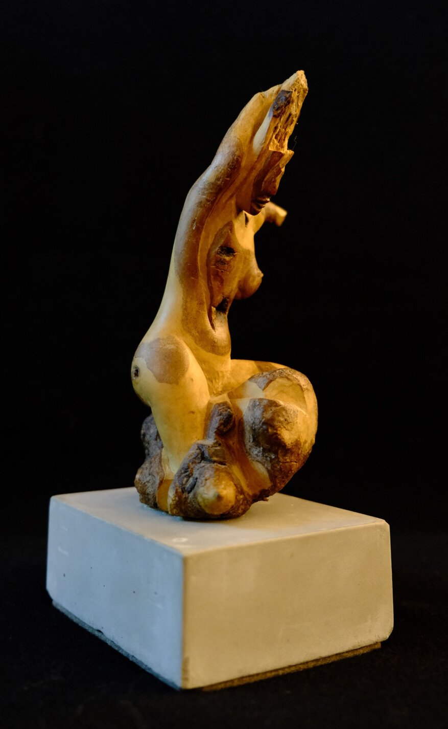 f9a353ac-3107-4caa-88a9-3c5268622ff4