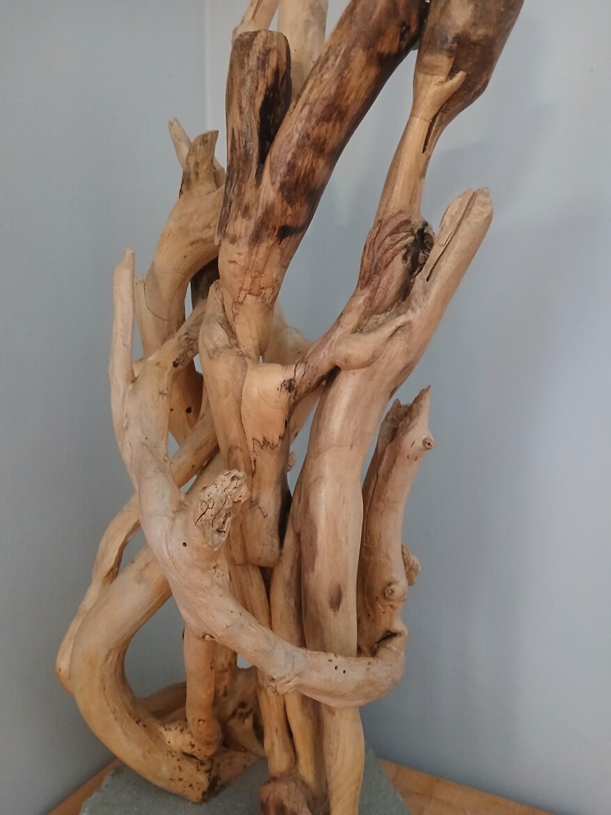 ebfa6726-9c30-4549-ae81-e97b76e06729