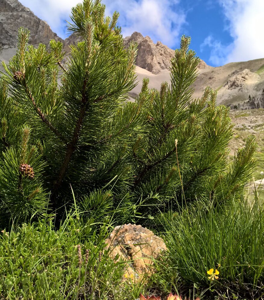 5f301fa0-1c29-4bd4-8bf8-4ead19df8b7c