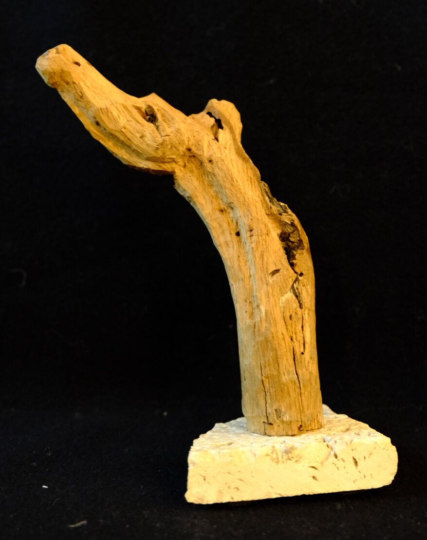 81df0590-cc19-43de-85de-f7bfa9f6ae1e