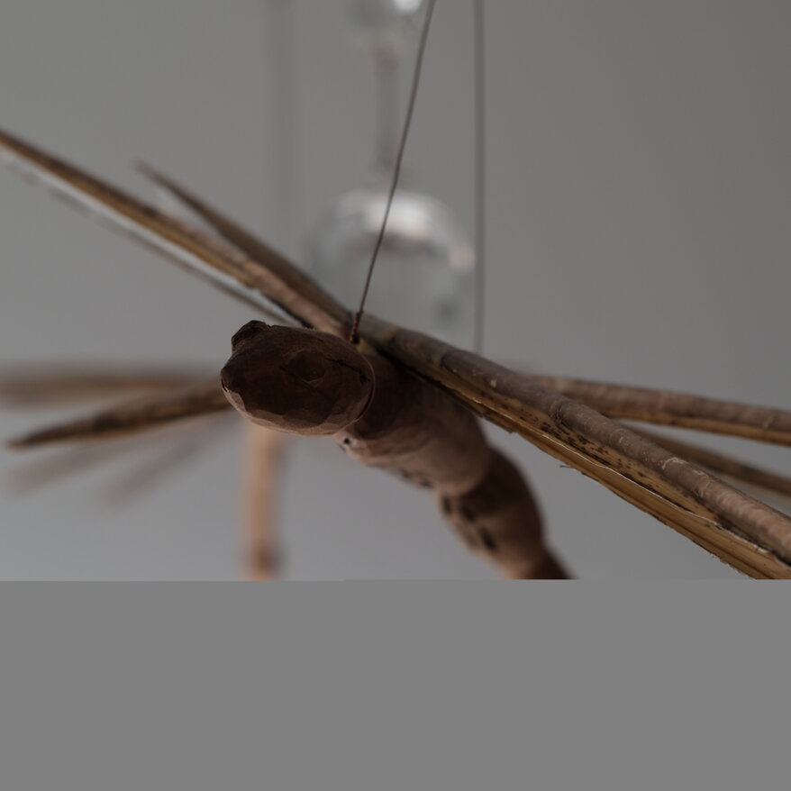 6bef87c7-ec3a-40e7-a840-a9c7e37be4a5