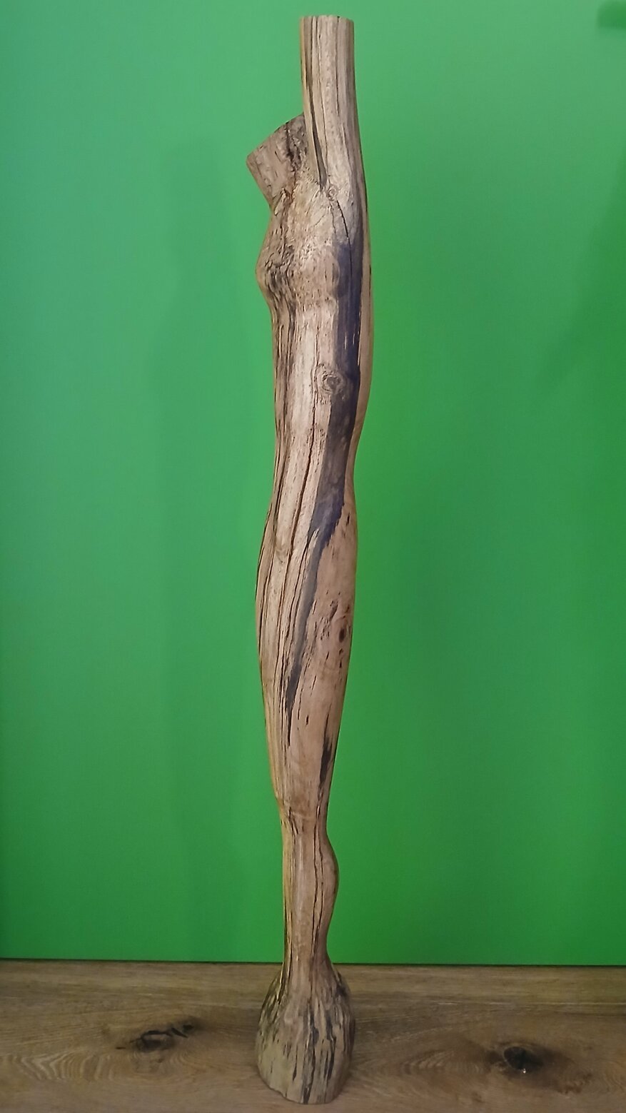 13054446-2fbc-4645-8fe2-dc5e29c52420