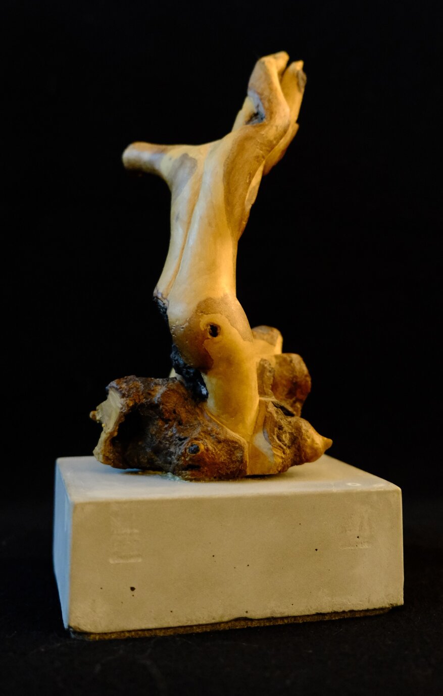 722d56e5-0571-42b5-a4f5-1f719b5462b6