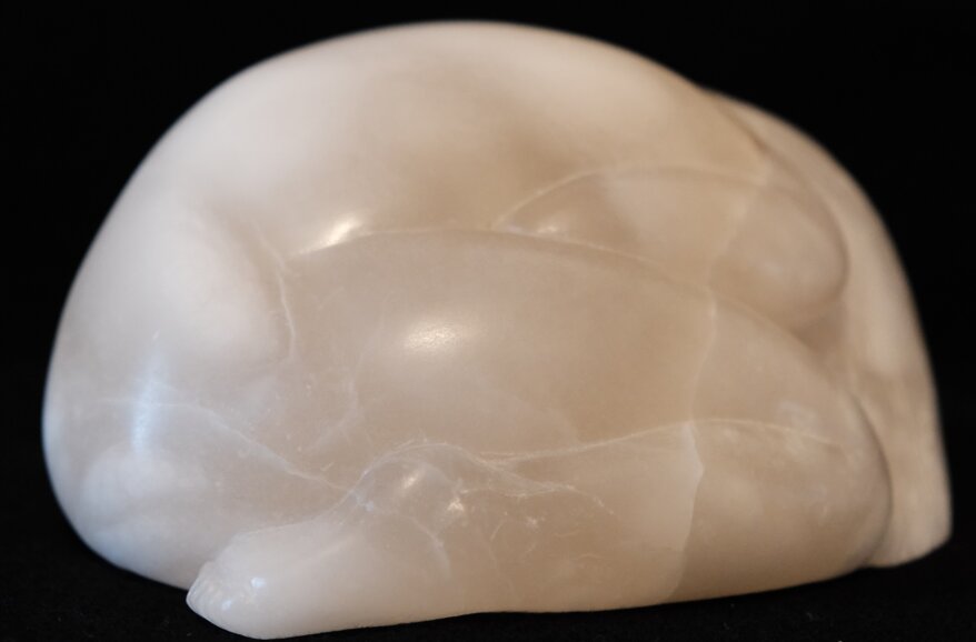 883c0338-951f-4dc4-a0ce-7babc8f33307