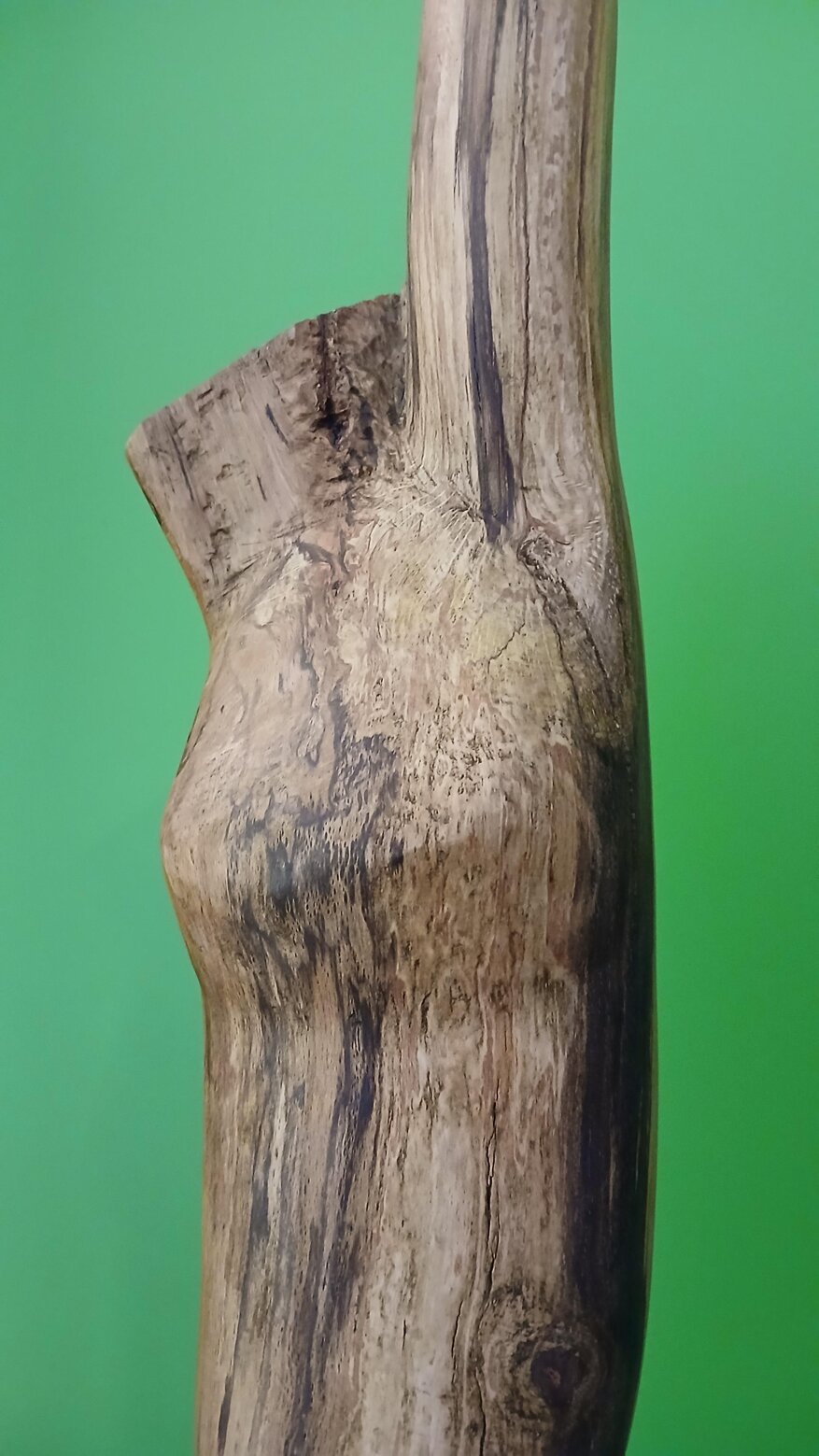 2bb03dee-504b-42d6-aeba-8876f9f6c441