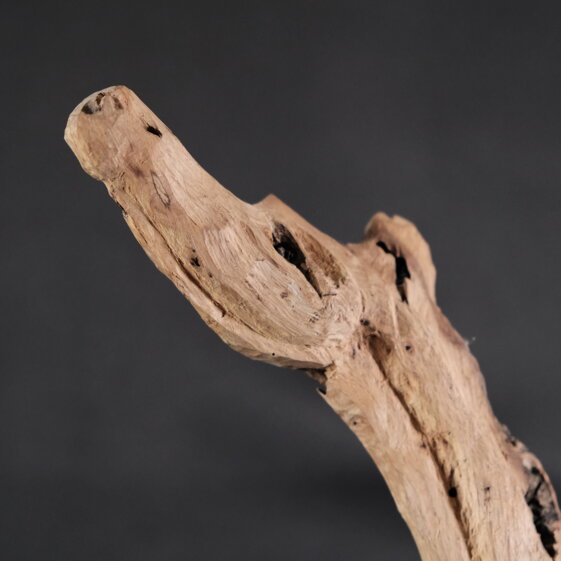 e7204cd0-36e2-4a7f-8838-ab514b48a0b7