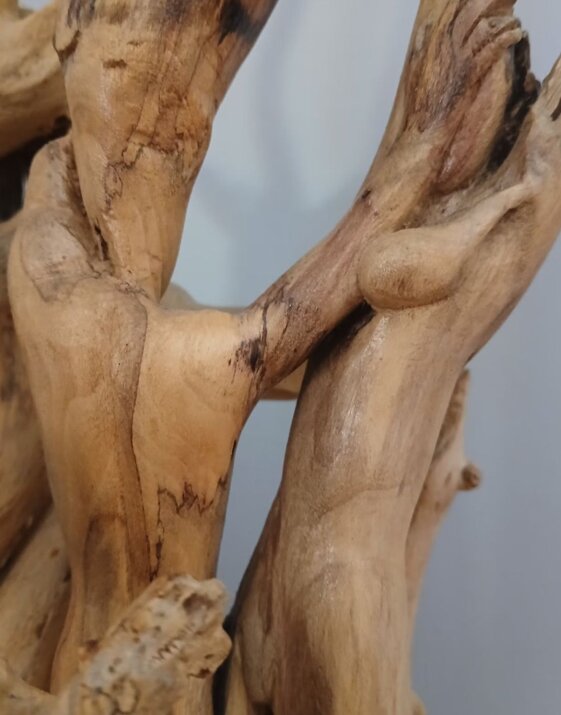 31ec2342-8cf1-48b3-a5f4-3ef259bb868b