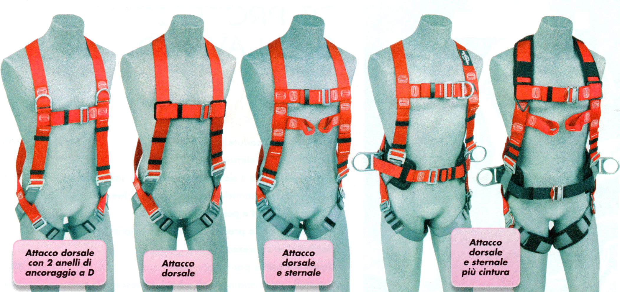 8e732f331665f6f3626dca7c7ee39313659768b7