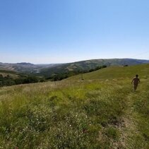 Passeggiata in libertà