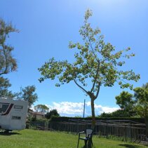 spazio camping