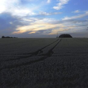Erding Sunset