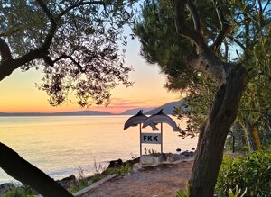 img_20260522_205737307_hdr.jpeg