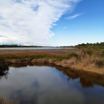 Laguna del Mort