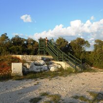 View Point