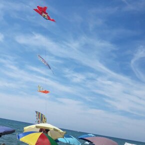Kites at Nido