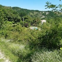 Passeggiata panoramica - Vista sulla piscina