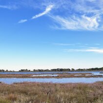 Laguna del Mort