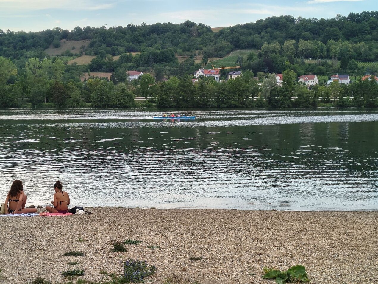 img_20260715_191146533_hdr.jpeg img_20260715_191146533_hdr.jpeg