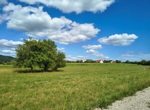 img_20260720_161008247_hdr.jpeg