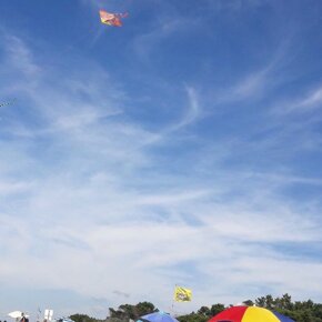 Kites at Nido