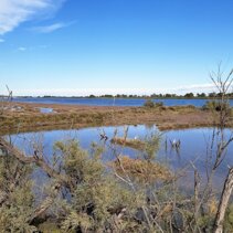 Laguna del Mort