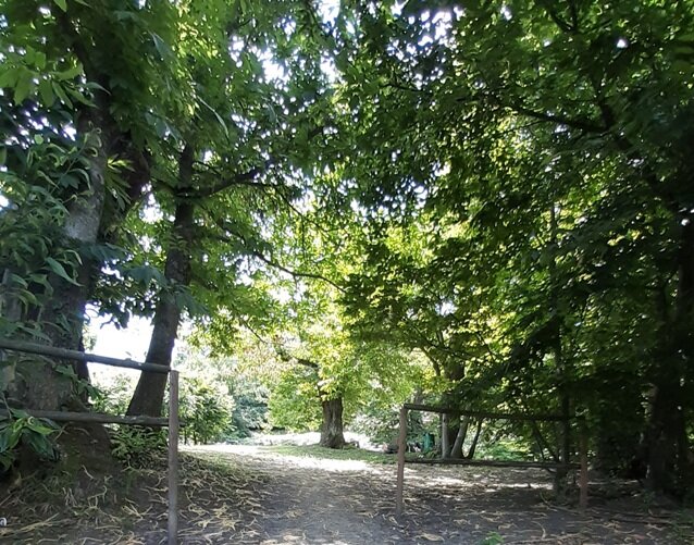 Oasi di Zello (27-28 giugno 2020) Oasi di Zello (27-28 giugno 2020)