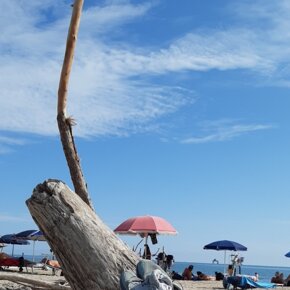 lido di dante