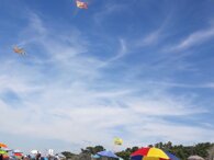 cfe00f7a71b6bc317976ab0b60735b253044780b