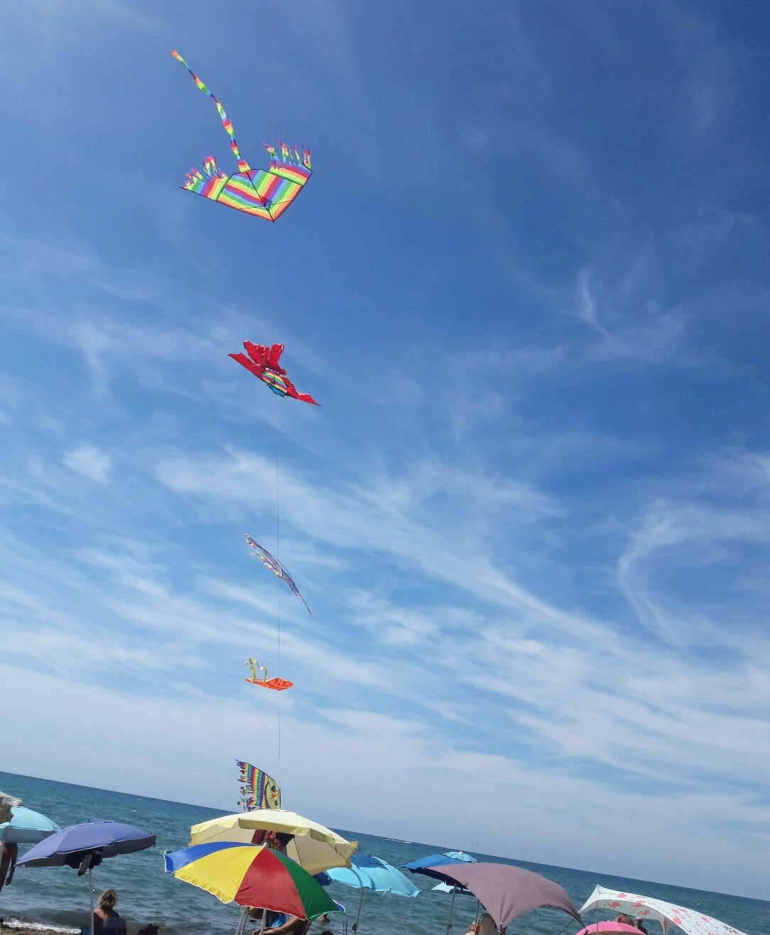 Nido dell'Aquila (18 agosto 2019) Nido dell'Aquila (18 agosto 2019)