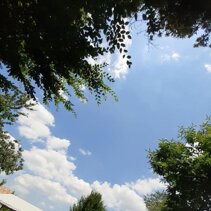 Il cielo sopra l'Oasi