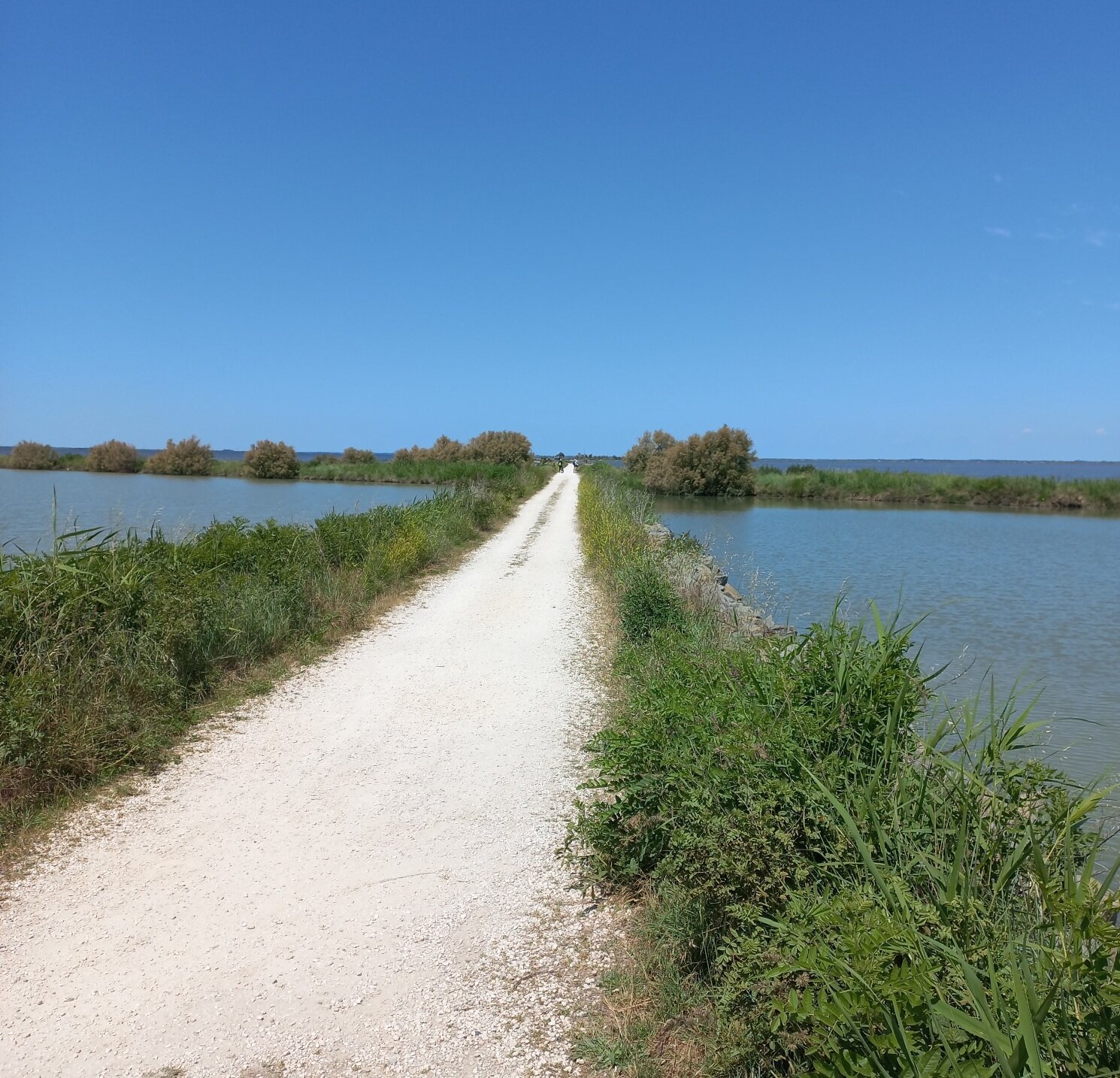 Anello delle Valli di Comacchio (18 maggio 2025)