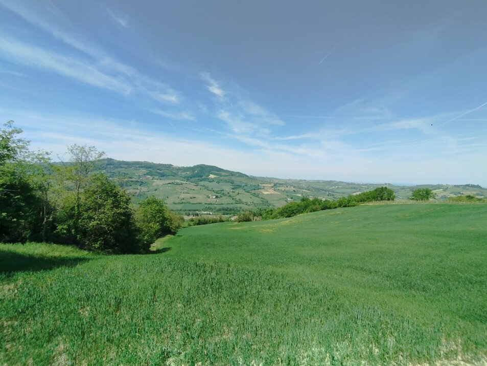 panoramacampi.jpeg