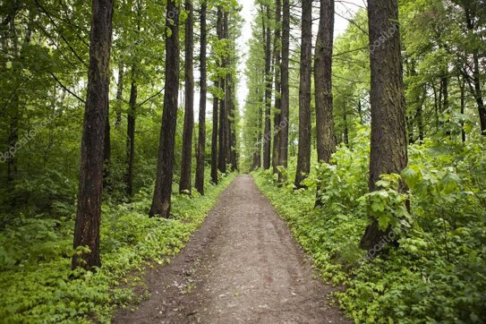 efe25847a63d011abd73b52513d4ad389a157f7e.jpeg efe25847a63d011abd73b52513d4ad389a157f7e.jpeg