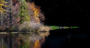 ede21f05648805f749840f55827c8e521a041547