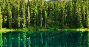 logo stefano scolari small.jpeg