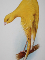 1930