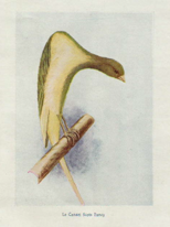 1911