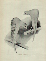 1955