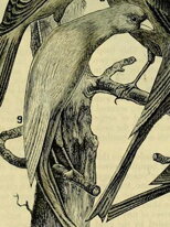 1882