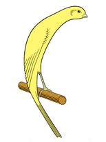 Disegno Standard Ufficiale