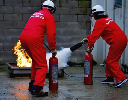 8756183dd4d4503d74b507ed262788233446b9b2