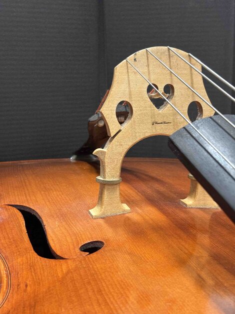 7 - contrabbasso.jpeg 7 - contrabbasso.jpeg