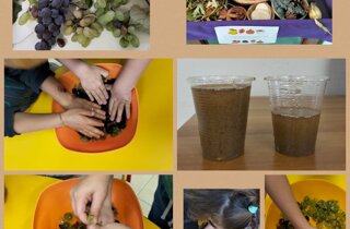 e08a9af8-1ff9-46f8-b358-3ac91fe2d97b.jpeg e08a9af8-1ff9-46f8-b358-3ac91fe2d97b.jpeg