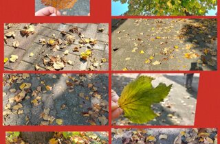 bf3d5c5b-1714-4146-8d1b-1fb1fa78704a.jpeg bf3d5c5b-1714-4146-8d1b-1fb1fa78704a.jpeg