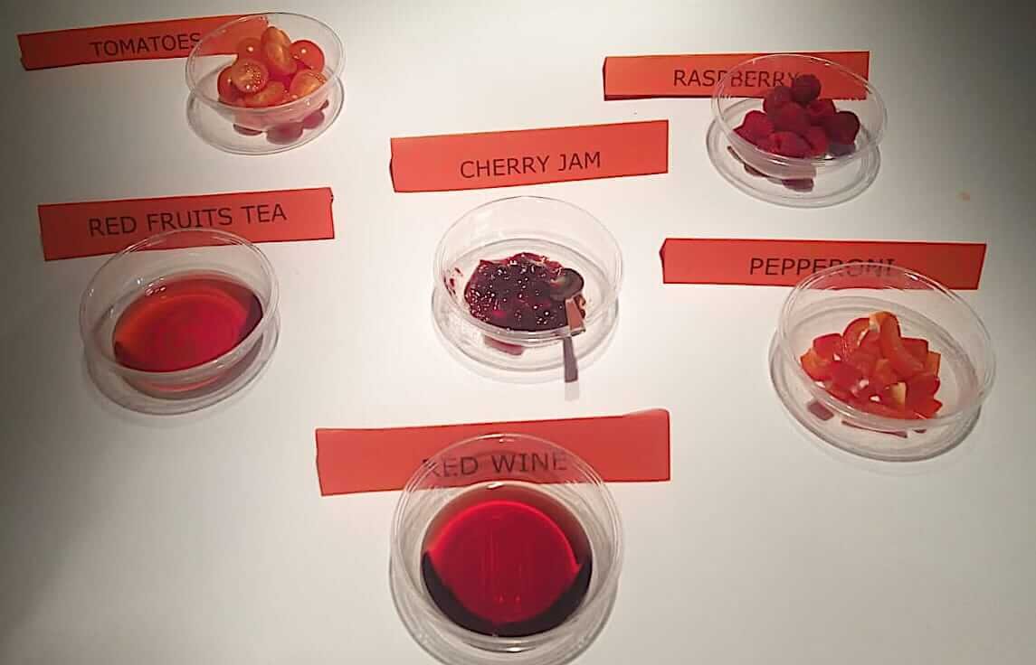 Laboratorio in lingua inglese "About colors" a Casa Cavazzini, Udine