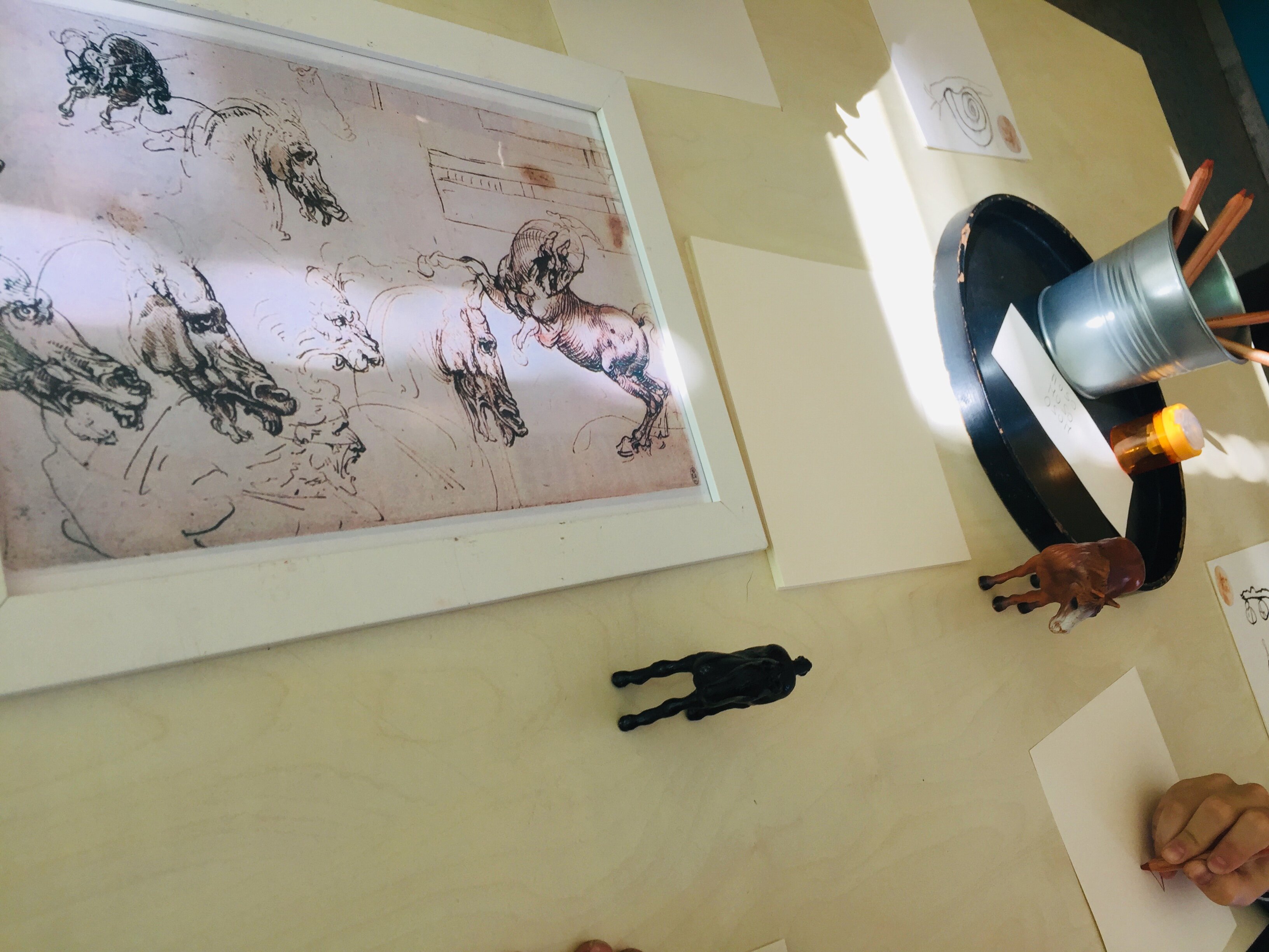 Progetto "Leonardo da Vinci"