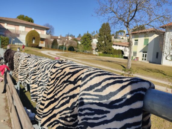 Laboratorio realizzato in lingua inglese